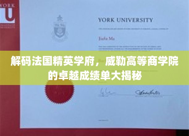揭秘威勒高等商学院，法国精英教育的璀璨明珠