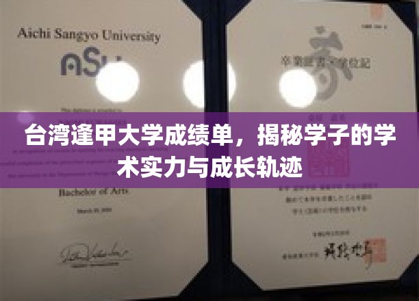 逢甲大学成绩单解码，展现学子实力与成长轨迹