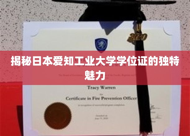 日本爱知工业大学学位证，探寻其独特设计背后的故事