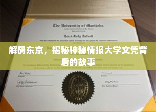 东京文凭之谜，探秘情报大学背后的传奇故事