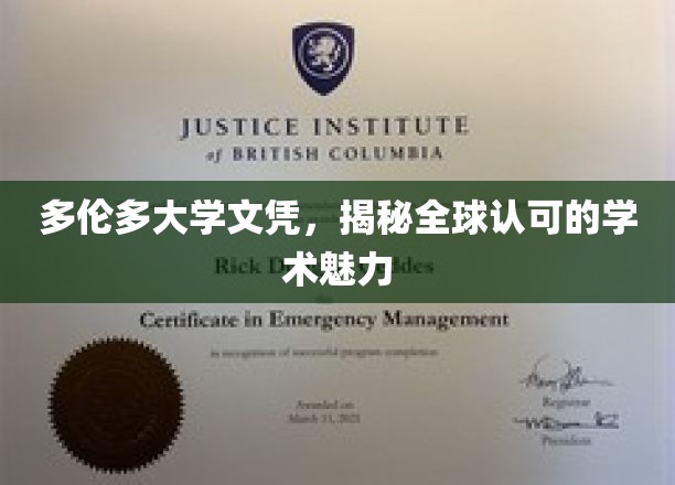 多伦多大学文凭，国际认可的学术精英通行证