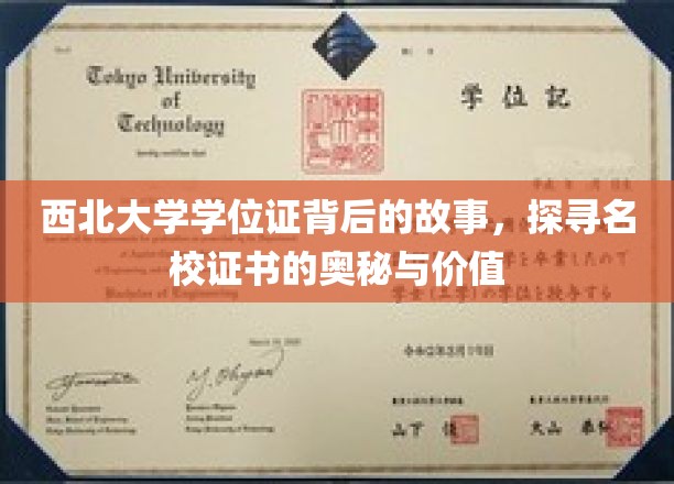 西北大学学位证，揭开名校证书背后的传奇与价值