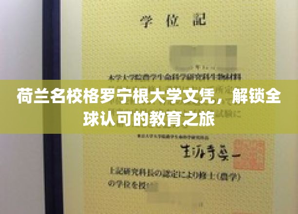 格罗宁根大学荣耀，全球通行证，开启你的教育新篇章