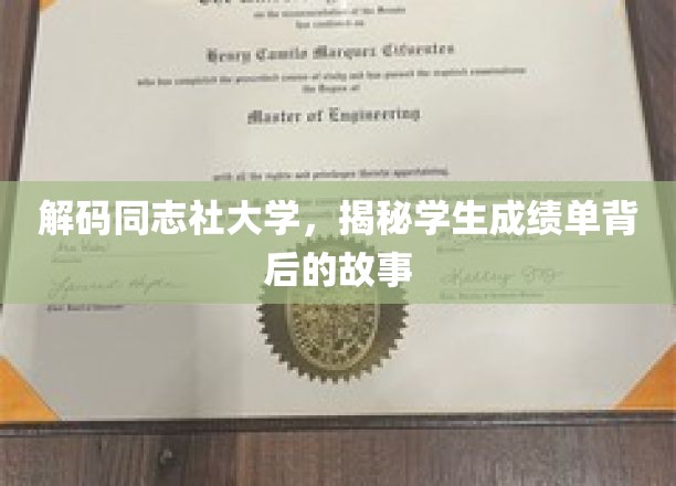 探秘同志社大学，揭开学子成绩单背后的秘密世界