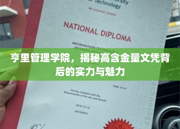亨里管理学院，揭秘高含金量文凭背后的实力与魅力
