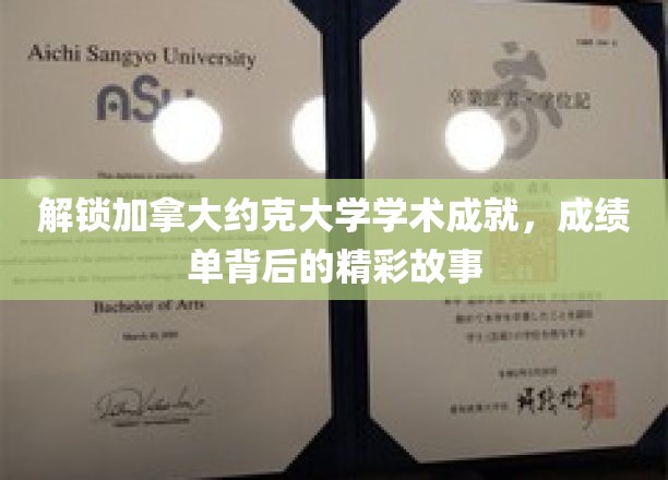 揭秘约克大学精英养成记，成绩单背后的璀璨篇章