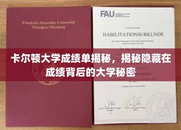 揭开卡尔顿大学成绩单背后的神秘面纱