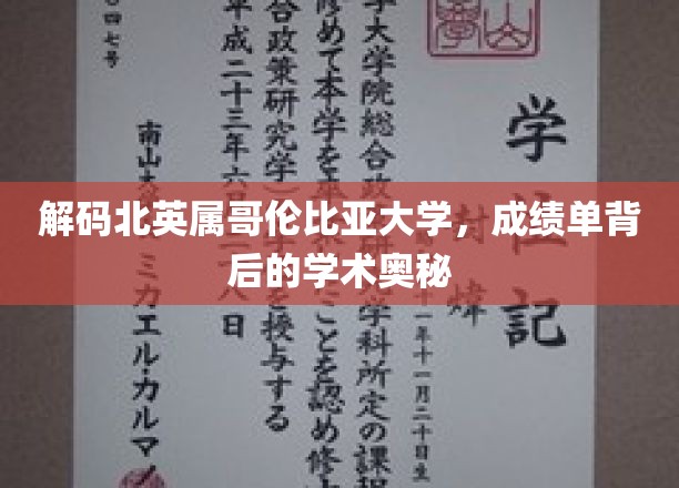 解码北英属哥伦比亚大学，成绩单背后的学术奥秘