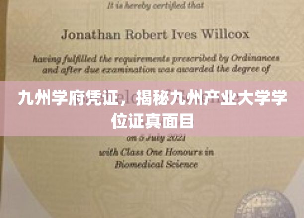 九州学府秘鉴，一探究竟的九州产业大学学位证之谜