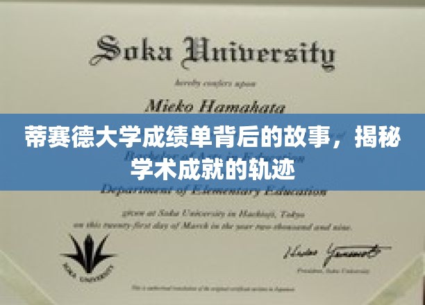 揭开蒂赛德大学成绩单的神秘面纱，探寻学术旅程的璀璨轨迹