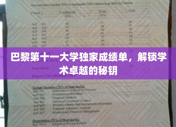 解锁巴黎第十一大学学术巅峰，揭秘卓越成绩单背后的秘密