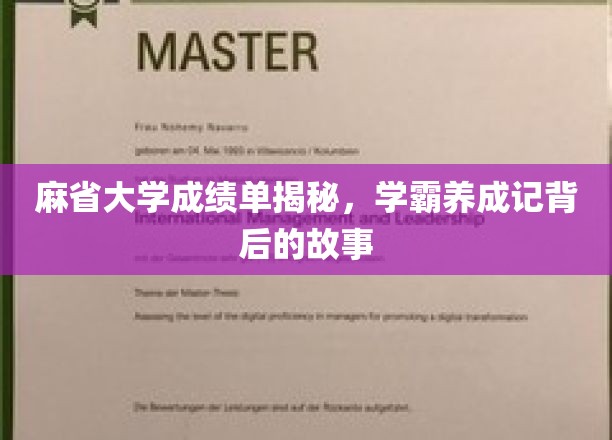 破解麻省学霸之路，揭秘顶尖大学的成绩单秘密