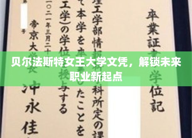 贝尔法斯特女王大学文凭，开启职业新篇章之旅