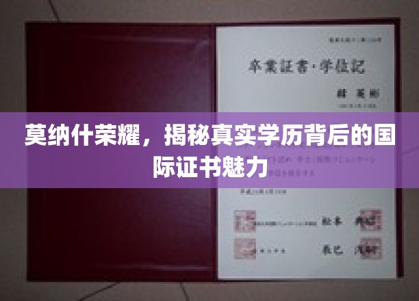 国际证书背后的莫纳什荣耀，揭秘学历背后的真实魅力