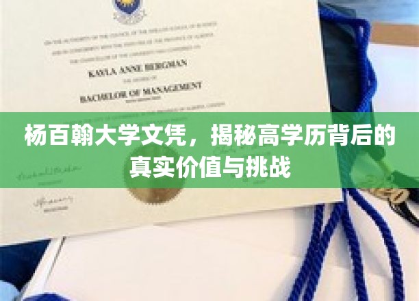 解码杨百翰大学学历，高学历光环下的真实面貌与成长考验