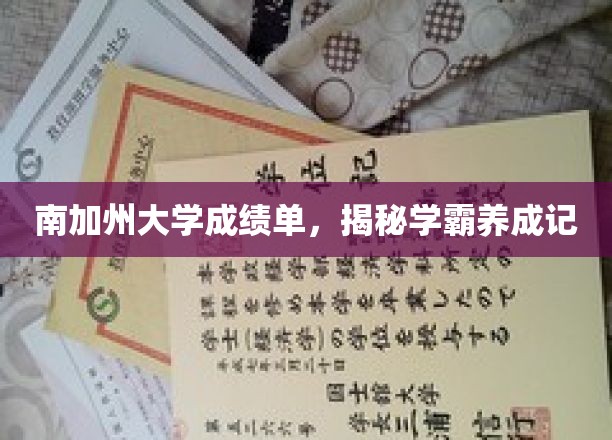 学霸之路，南加大学生的成绩单解码记