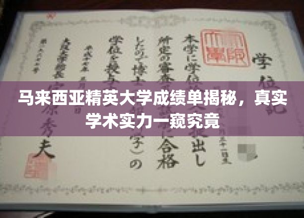 马来西亚精英大学，揭秘背后的学术实力与真实成绩单大揭秘