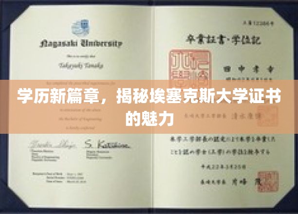 埃塞克斯大学证书，开启你职业生涯的新亮点