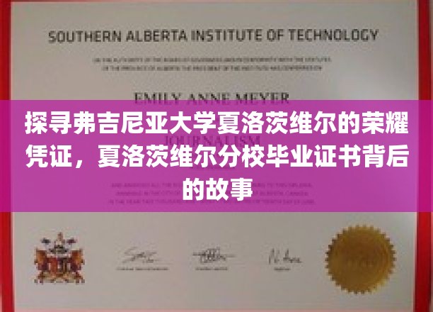 揭开弗吉尼亚大学夏洛茨维尔分校毕业证书的神秘面纱