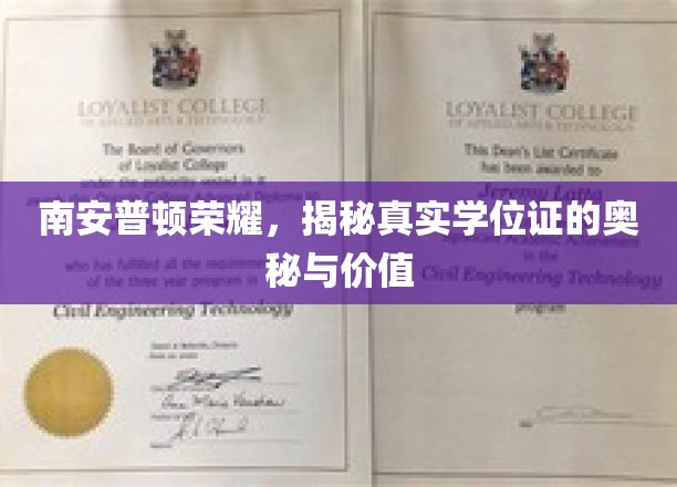 揭秘南安普顿荣耀，学位证背后的价值与魅力