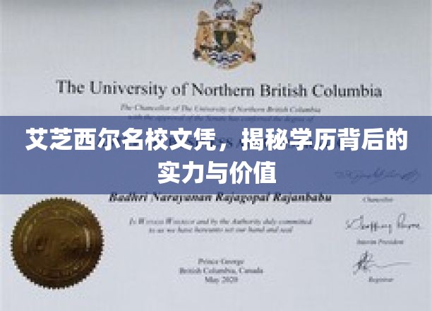 艾芝西尔名校光环，探寻学历背后的非凡实力与珍贵价值