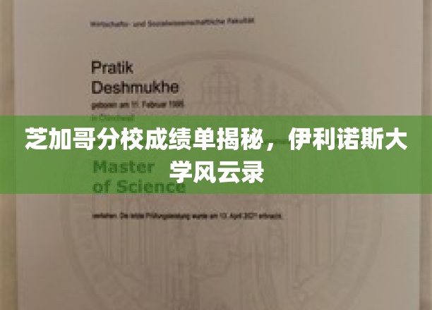 伊利诺斯大学芝加哥分校，揭开成绩单背后的学术风云