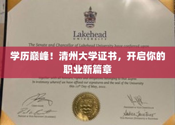 清州大学证书荣耀登场，助你攀登职业高峰