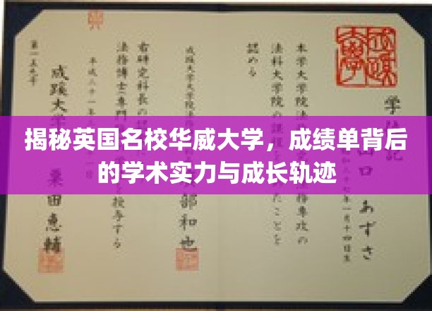 探秘华威之光，解码成绩单背后的学术实力与成长传奇