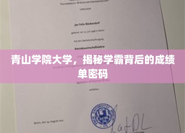 解码学霸传奇，青山学院大学成绩单背后的秘密世界