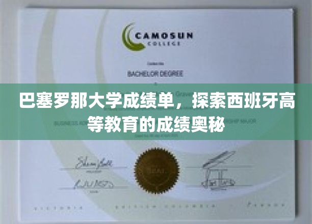 解码巴塞罗那大学，一窥西班牙高等教育的卓越成果