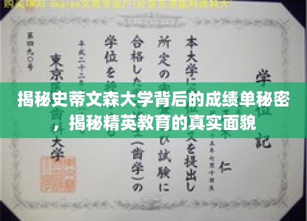 史蒂文森大学成绩背后，解码精英教育的真实力量