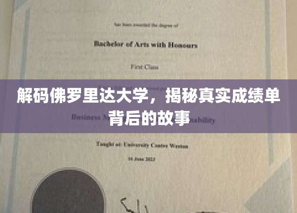 佛罗里达大学成绩单揭秘，背后隐藏的学术传奇