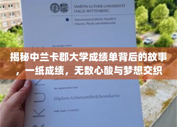 兰卡郡大学成绩单背后，揭秘学子心酸追梦路