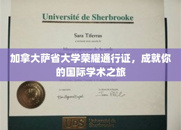 跨国梦想启航站，萨省大学荣耀通行证助力全球学术探索