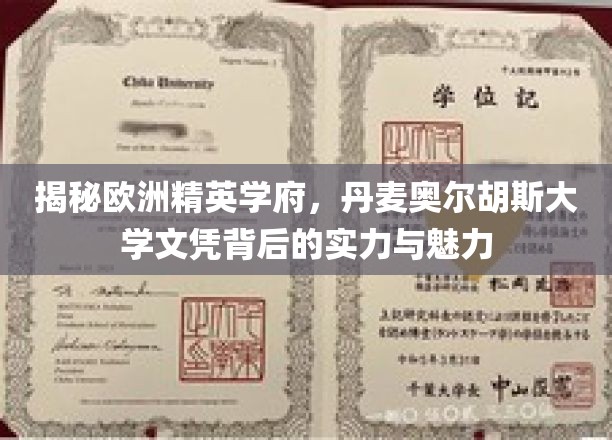 探寻丹麦奥尔胡斯大学，精英教育的光环与独特魅力