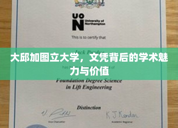 大邱加图立大学，文凭背后的学术魅力与价值