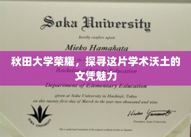 秋田大学荣耀之光，解码学位背后的学术魅力