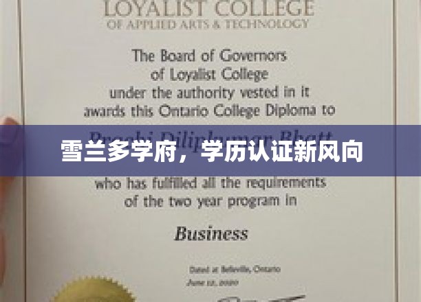 雪兰多学府引领，学历认证未来新潮流