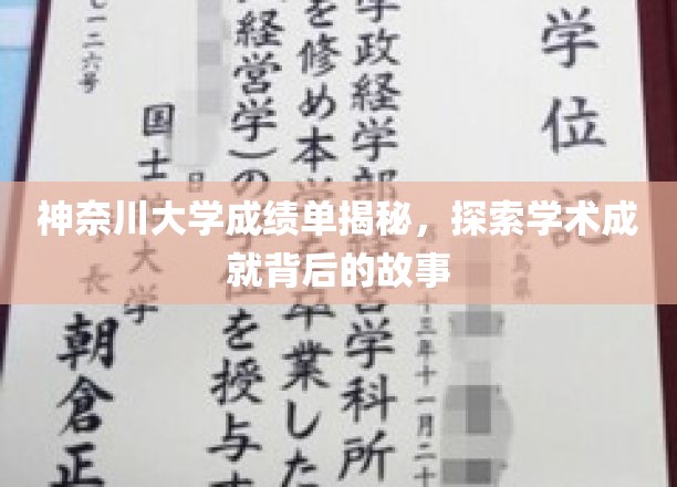 解码神奈川大学，揭开成绩单背后的学术传奇