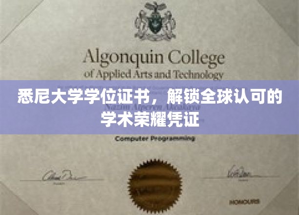 悉尼大学学位证书，解锁全球认可的学术荣耀凭证