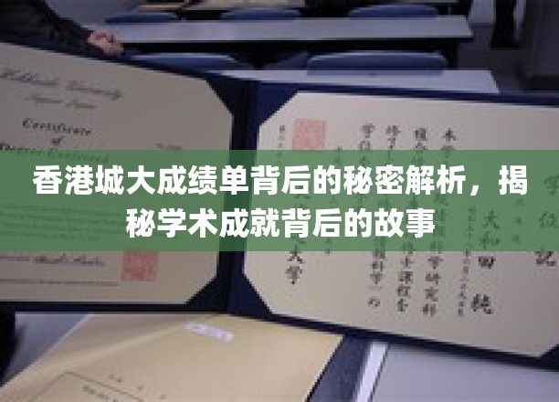 香港城大揭秘，卓越成绩背后的非凡传奇