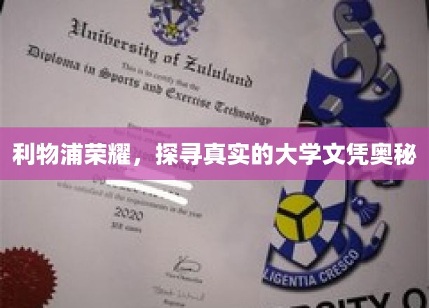 利物浦荣耀之谜，揭秘大学文凭背后的真实故事