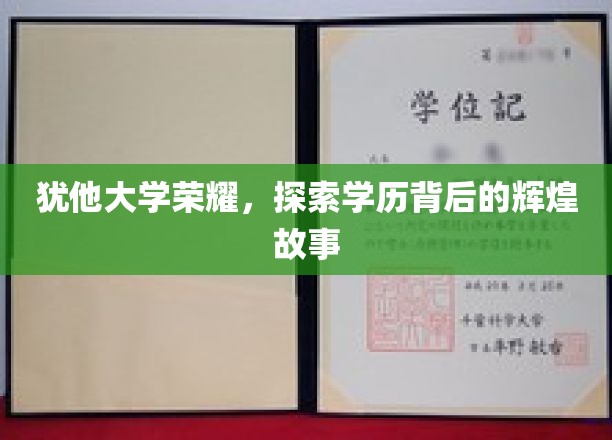 犹他荣耀之旅，揭秘学历成就的璀璨传奇