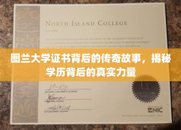 图兰大学证书，探寻学历背后的神秘魅力与真实力量