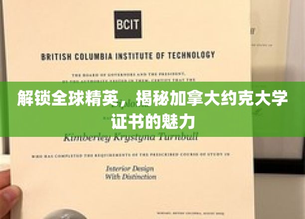探索加拿大约克大学证书的全球吸引力与精英价值