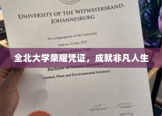 全北大学荣耀印记，开启非凡人生篇章