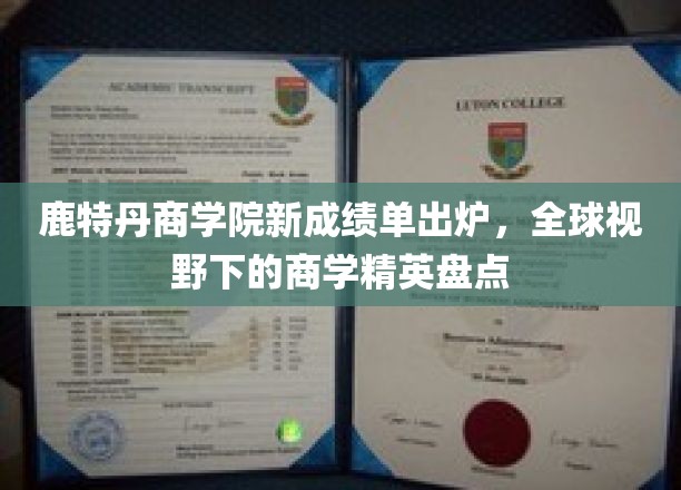 鹿特丹商学院新成绩单亮相，世界商界翘楚风采大揭秘