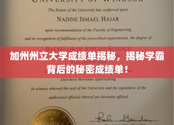 加州学霸的秘密档案，揭秘加州州立大学成绩单背后的真相