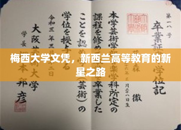 梅西荣耀，新西兰高等教育领域的新星诞生记