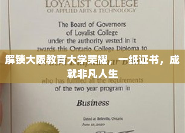 大阪教育大学荣耀见证，一纸证书，成就非凡之旅